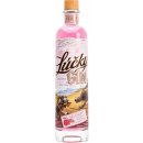 Lúčky Remeselný Pink Gin 37.5% 0,7 l (čistá fľaša)