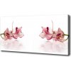 Foto obraz na plátne do obývačky Orchidea 100x50 cm
