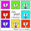 Jak přežít v kostce - Sylva Vespalcová
