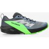 Trailové topánky Salomon Sense Ride 5 GTX - flint/black/green