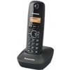 Panasonic KX-TG1611FXH / prenosný telefón / CLIP / pamäť na 50 mien / šedý (KX-TG1611FXH)