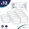 Aquafloow 12x filter AquaFloow Maxi pre kanvice Brita, Dafi, AquaPhor, Wessper - náhrada za Brita Maxtra Plus +