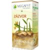 Megafyt Bylinná Lekáreň zázvorový čaj 20 x 1,5 g