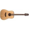 Takamine GD20