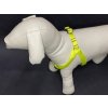 Palkar motýlik postroj pre psov 44 cm - 62 cm veľ. 2 neónová (Palkar motýlik postroj pre psov 44 cm - 62 cm veľ. 2 neónová)