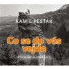 Co se do vás vejde - Kamil Pešťák