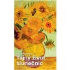 Tajný život slunečnic (8) - Marta Molnarová