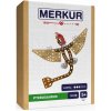 Stavebnica Merkur Dino - Pterodactyl (8592782008067)