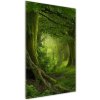 Vertikálny foto obraz akrylový Tripická džungle 50x100 cm