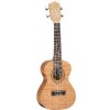TANGLEWOOD TWT 6
