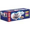 PreVital XXL Box 48 x 100 g