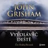 Vyvolávač deště - John Grisham - Ondřej Brousek