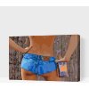 Vymalujsisam.sk Maľovanie podľa čísiel - Hot pants Veľkosť: 40x60cm, Rám: Na plastovej doske