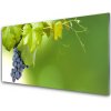 Skleneny obraz Hrozno listy kuchyňa 100x50 cm
