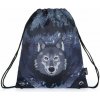 Bagmaster Vrecko na prezuvky Prim 22 C Grey