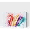 Vymalujsisam.sk Maľovanie podľa čísiel - Farebné perie Veľkosť: 40x60cm, Rám: Na kartónovej doske