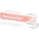 Dermazulen ung.der.1 x 30 g