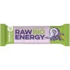 Bombus Raw Energy BIO ovocná tyčinka v BIO kvalite príchuť Black Currant & Coconut 50 g