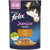 Felix Fantastic Junior vrecko s kuraťom v želé 26 x 85 g