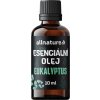 Allnature Esenciálny olej Eukalyptus, 10 ml