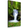 Vertikálny foto obraz na plátne Vodopád v lese 50x100 cm