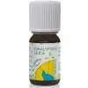 HANUS Eukalyptová silica 10 ml