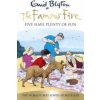 Five Have Plenty Of Fun (Blyton Enid)