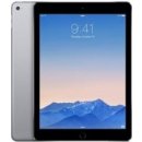 Apple iPad Air 2 Wi-Fi 128GB MGTX2FD/A