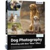 Dog Photography - Shooting with Bow 