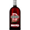 Demänovka Brusnica 30% 0,7 l (čistá fľaša)