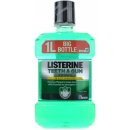 Listerine Teeth & Gum Defence ústna voda proti zubnému povlaku a pre zdravé ďasná príchuť Fresh Mint (Mouthwash) 1000 ml