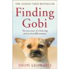 Finding Gobi (Main edition)