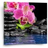 Sablio Obraz Orchidea na kameňoch - 50x50 cm