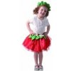Šaty na karneval - jahoda, 92 - 104 cm
