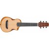 Ibanez AUP10N Natural