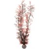 BiOrb Sea Fan karmínová 49 cm