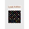 Kniha Louis Vuitton: A Passion for Creation, Valerie Steele, English