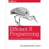 Efficient R Programming (Colin Gillespie,Robin Lovelace)(Brožovaná)