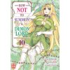 How NOT to Summon a Demon Lord - Band 10 (Etsuko und Florian Weitschies Tabuchi)(Brožovaná)