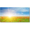 Foto obraz sklenený horizontálny pole makov 100x50 cm