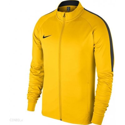 Nike Dry Academy 18 Tréninková bunda Žlutá