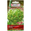 Artichoka semená 1 g