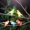 GARDEN OF EDEN Solárna sveteľná reťaz - vtáčik, so štipcom - 80 cm - 5 farebných , RGB LED