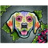 NO-1006555 NORIMPEX 7D Diamantová mozaika - Labrador Catrina