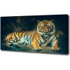Foto obraz na plátne Tiger v jaskyni 100x50 cm