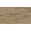 Condor Oak 40254