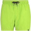 Pánske plavky Regatta Mawson Swim Shorts III Veľkosť: L / Farba: svetlozelená