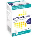 Enterol 250 mg kapsuly cps.dur.10 x 250 mg