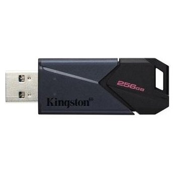 KINGSTON DataTraveler EXODIA M 256GB DTXM/256GB