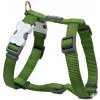 Red Dingo postroj jednofarebný 20 mm x 45-66 cm zelený